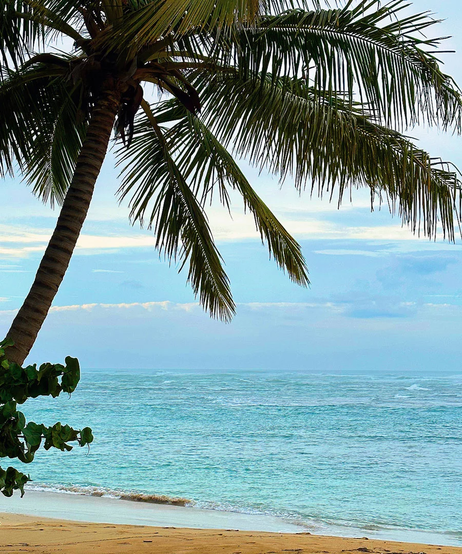 Playa Dorada